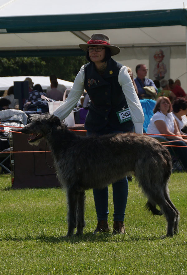 Greyhawks Romanie Lacho with Tannantside